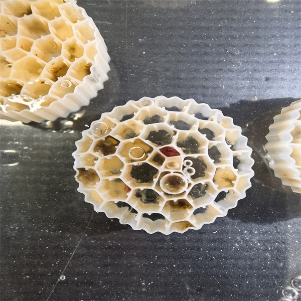 mbbr stp-1.jpg