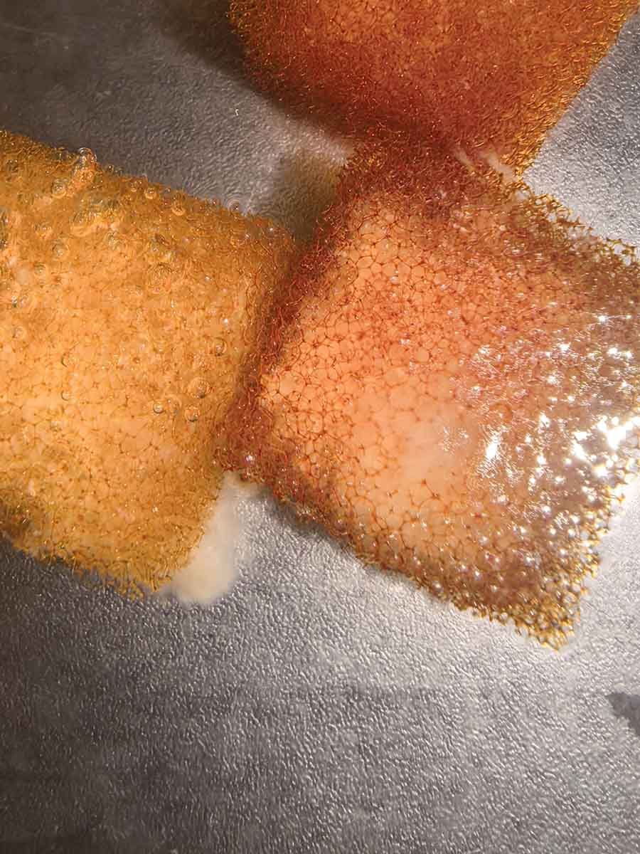 pilt-2